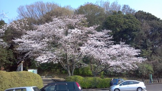 2012-03-29_15-04-49_737.jpg