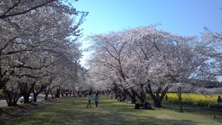 2012-04-04_15-32-55_141.jpg